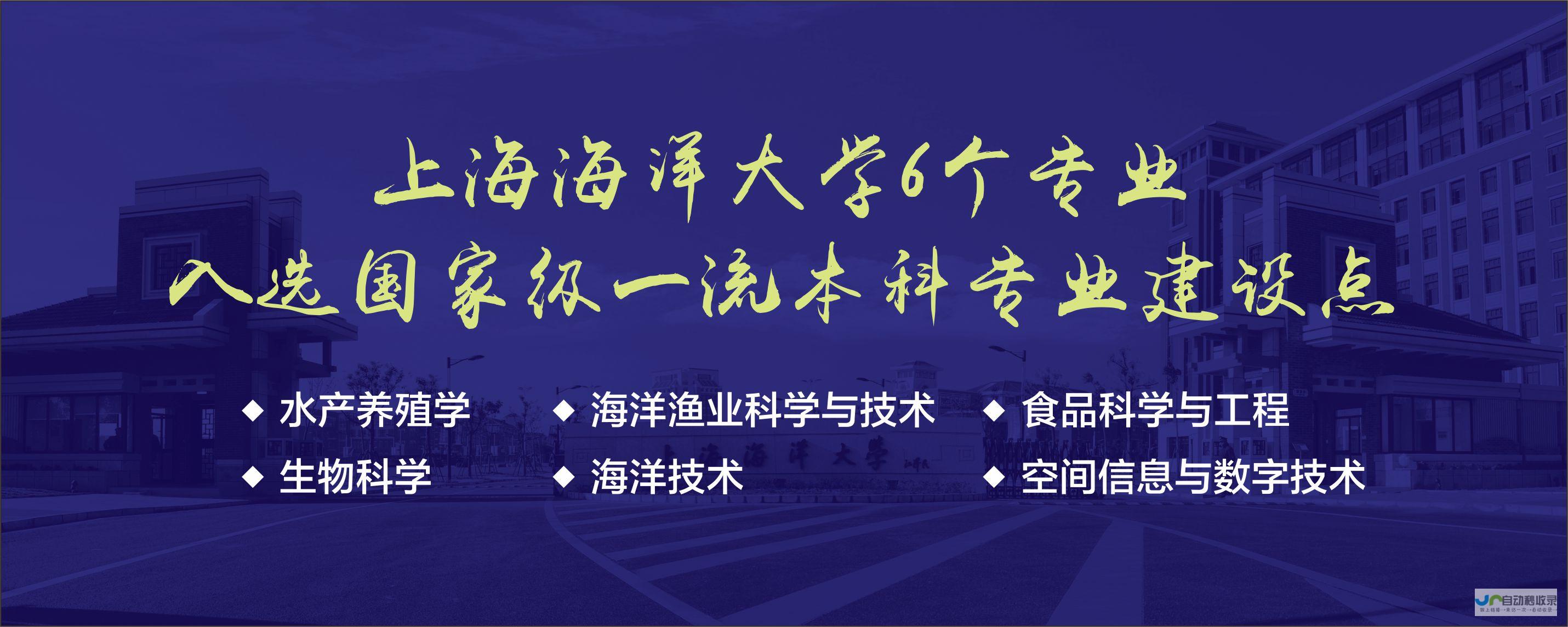选择上海专业的网站设计公司，让您的业务触达更广阔的市场