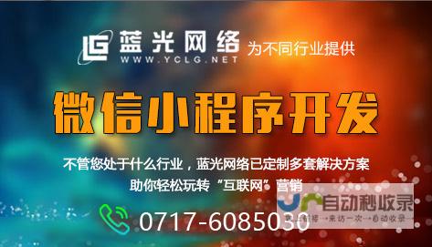 宜昌网络公司：专业技术团队，全方位互联网解决方案，成就您的线上成功
