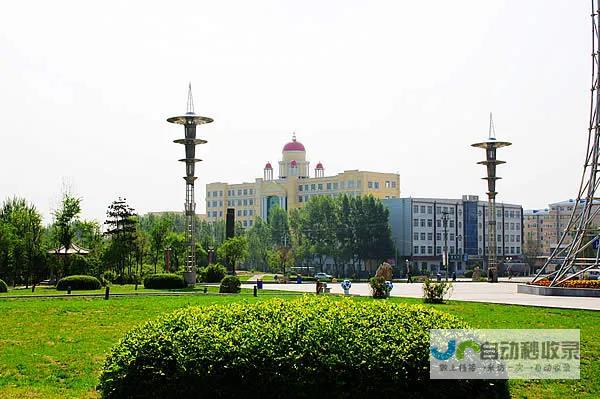 牡丹江专业网站建设，提升品牌价值，助力企业数字化转型