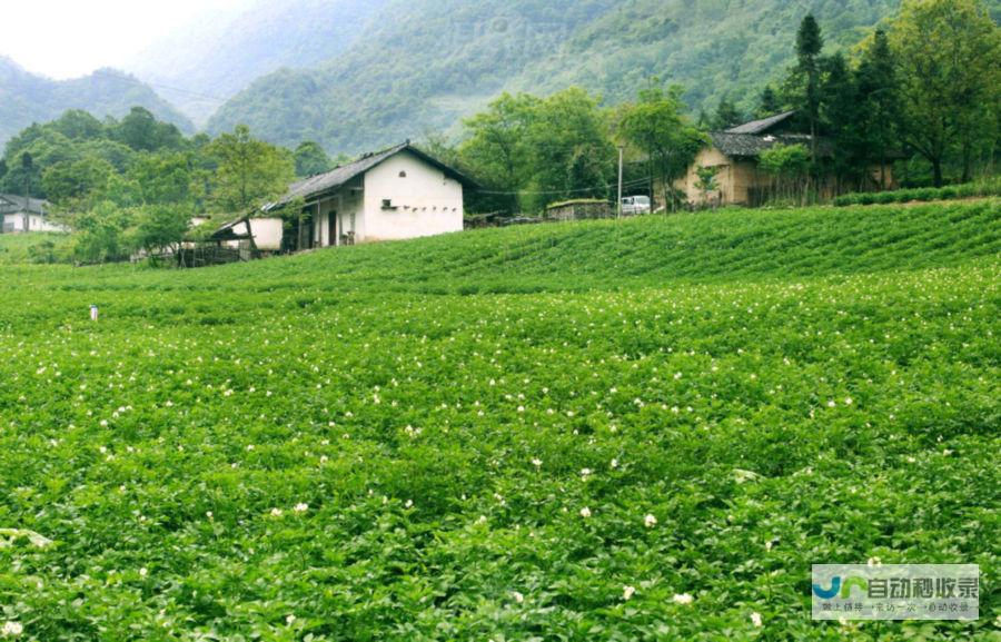 柳林网：探索柳林的方方面面，洞悉柳林的过去、现在与未来。