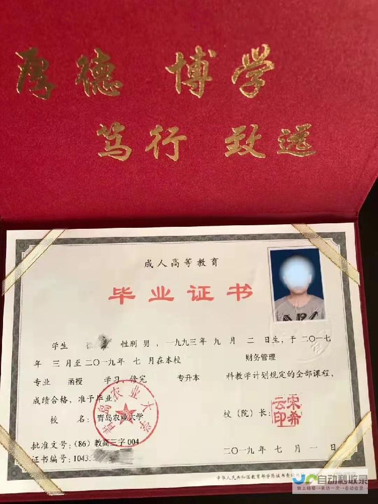 青岛专业网站设计：打造引流转化，实现业务增长